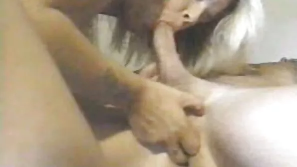 Raid mi BoJo babe batrane cocoș în reverse cowgirl reprezenta