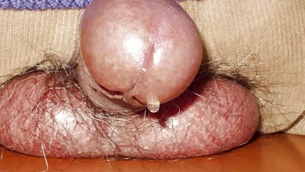 Gafă devine bang filme porno cu negrese batrane de Lexingtons 11inch Cocoș